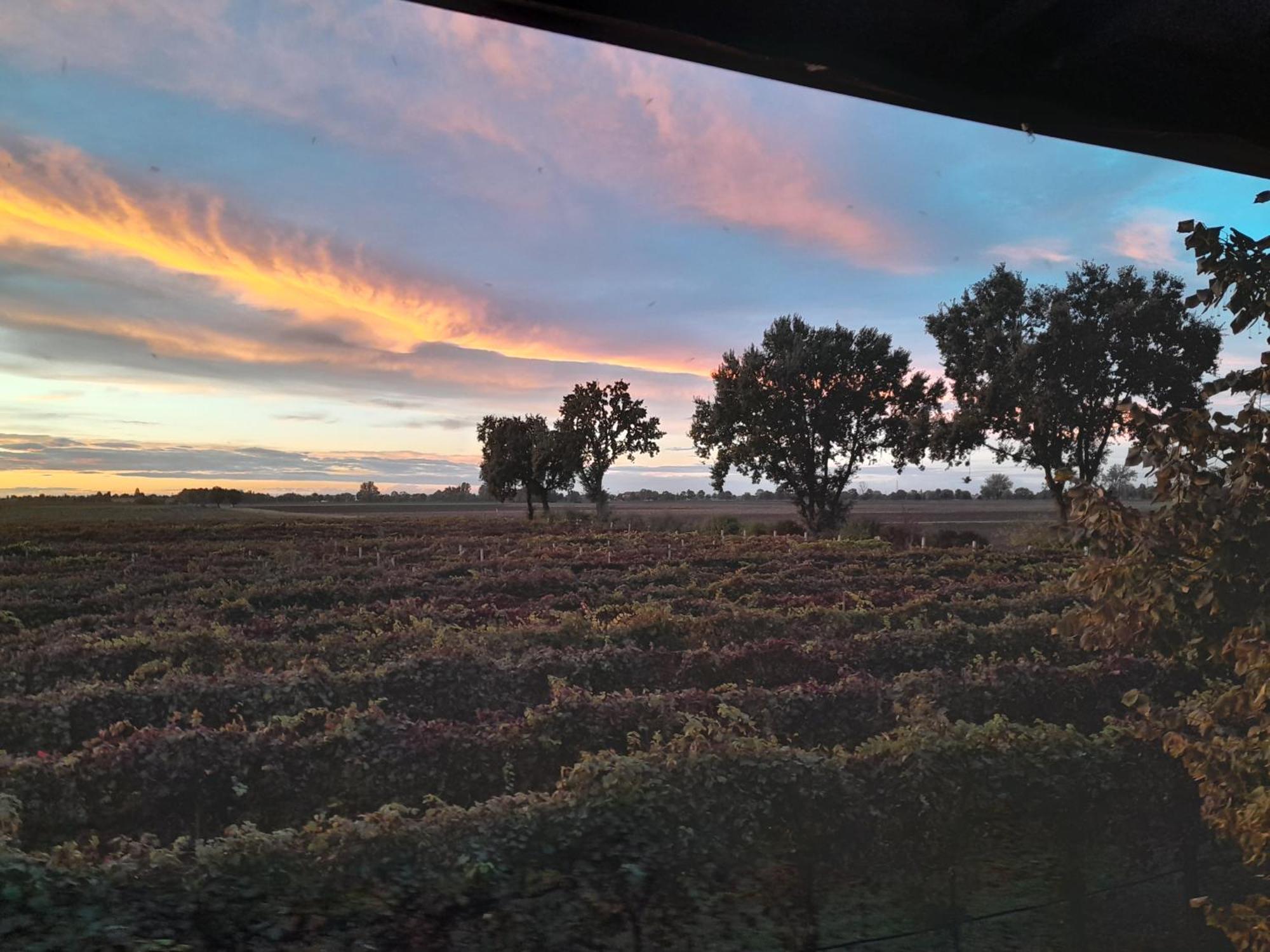 Agriturismo Casa Carpanelli Nonantola エクステリア 写真