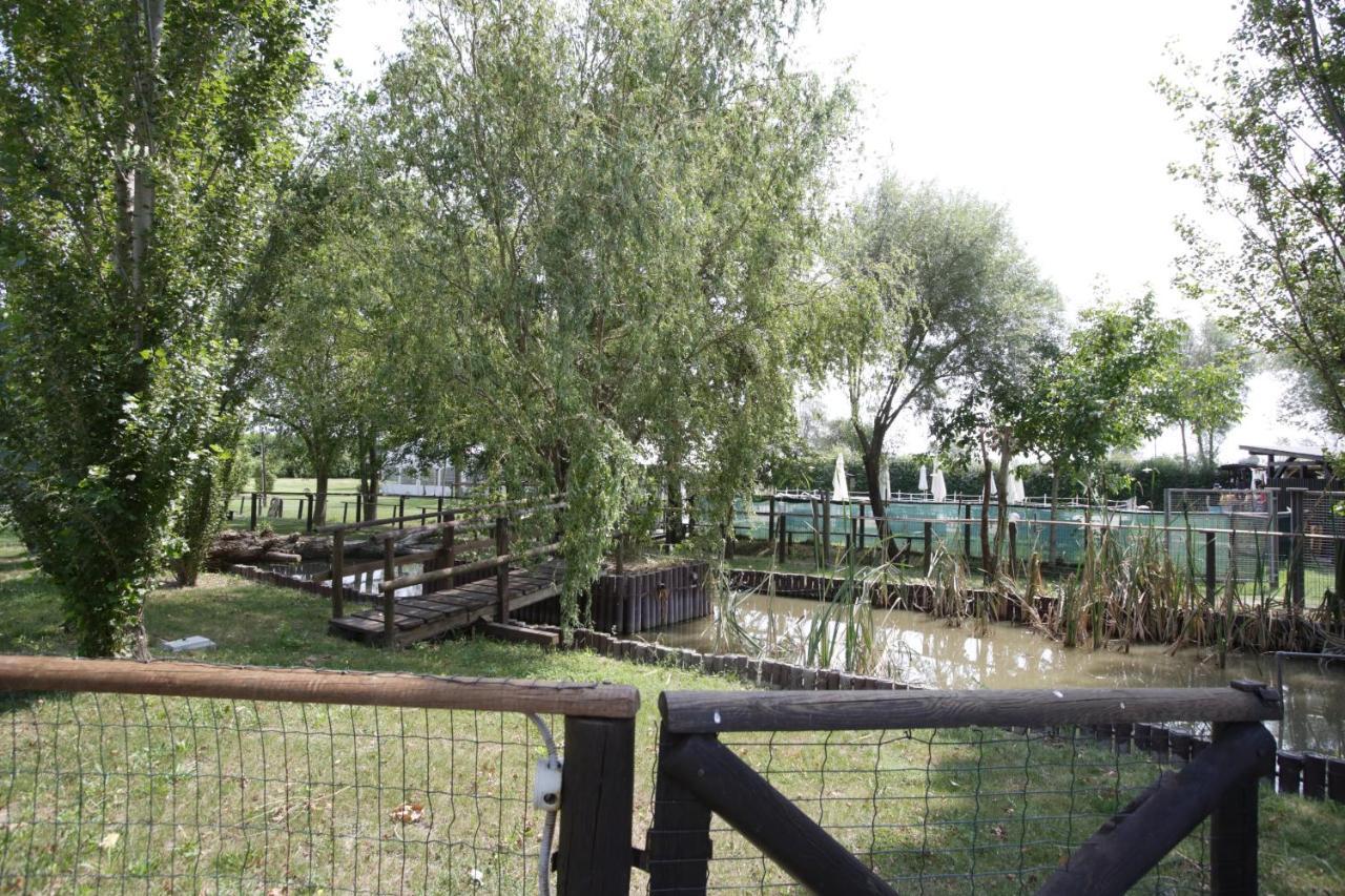 Agriturismo Casa Carpanelli Nonantola エクステリア 写真